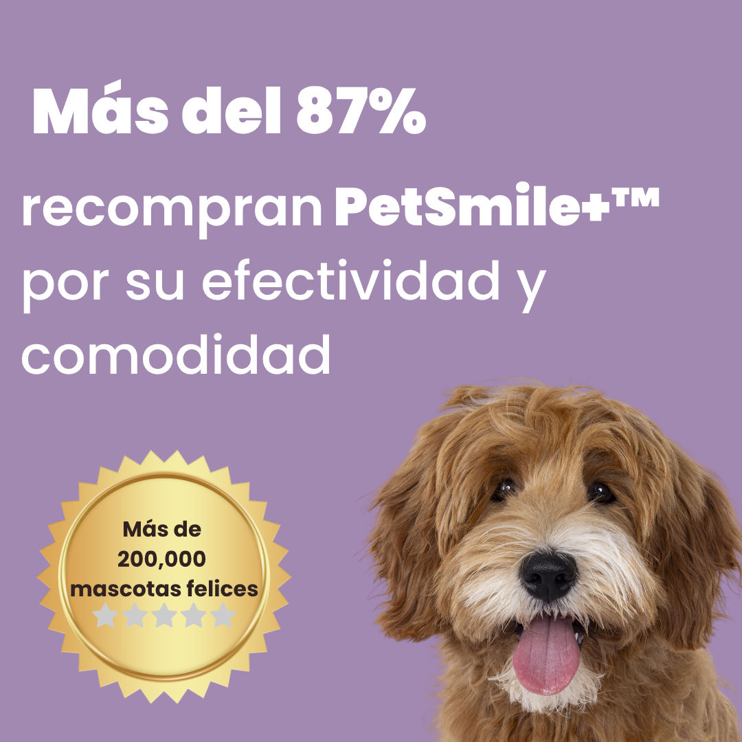 PetSmile+™—Cuidado dental natural para perros y gatos