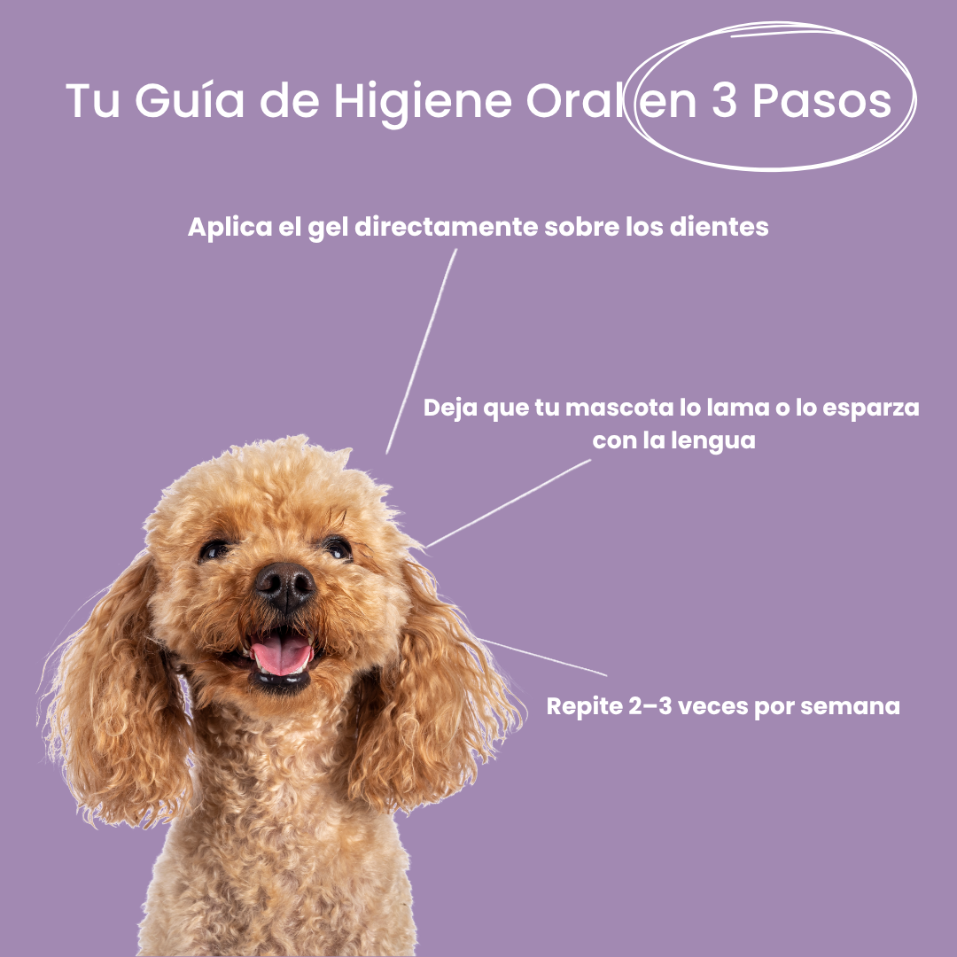PetSmile+™—Cuidado dental natural para perros y gatos